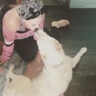 Pink's pet Frangelica Moore Hart