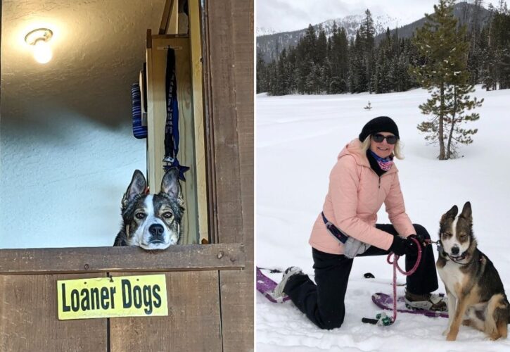 Meet Rio the ‘Loaner Dog’ Who You Can Borrow to Go Hiking or Snowshoeing at a Mountain Lodge in Idaho