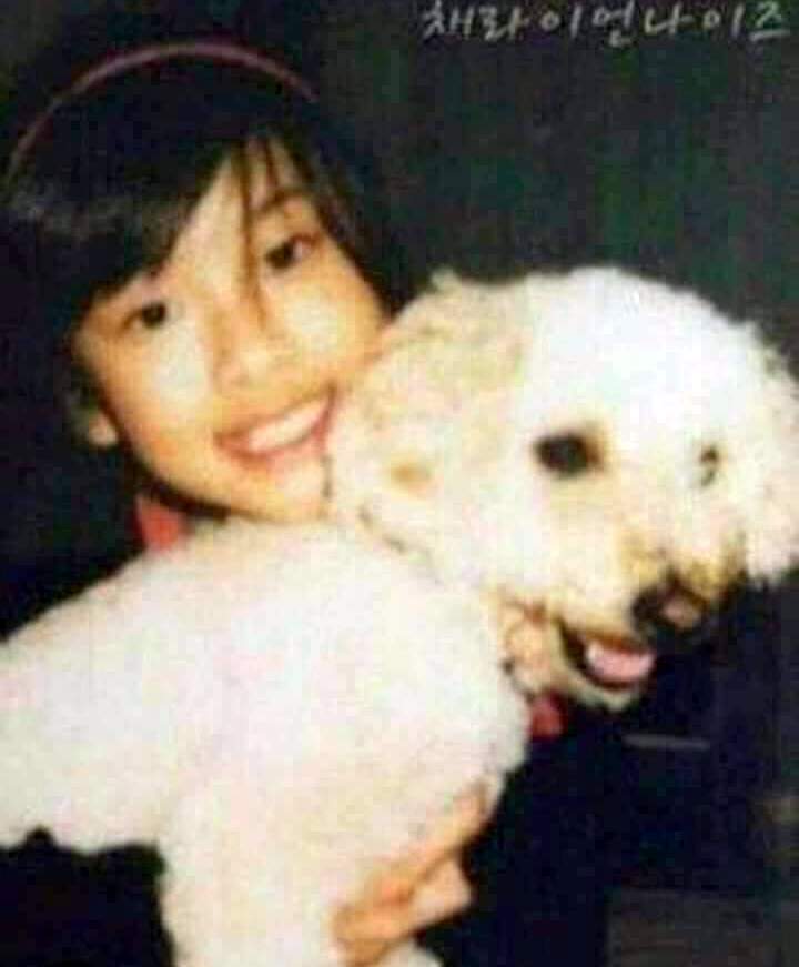 Rose Blackpink childhood dog named Toby