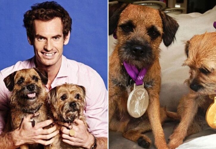 Tennis Champ Andy Murray Shares Heartbreak of Losing His 2nd Dog ‘House Feels Empty'