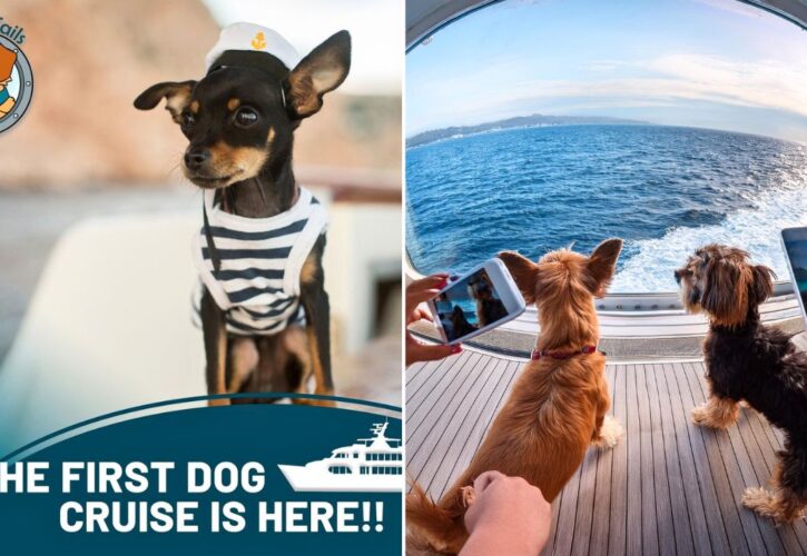 The First Ever Dog-Friendly Cruise Will Provide ‘Pet Butlers’ for Each Dog, Sets Sail in November 2025