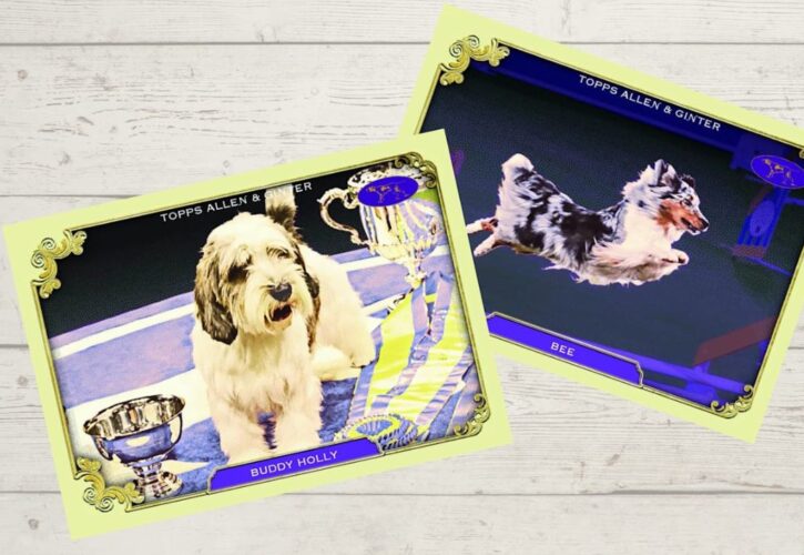 Forget Pokémon and Baseball, Show Dogs Are Finally Getting Trading Cards