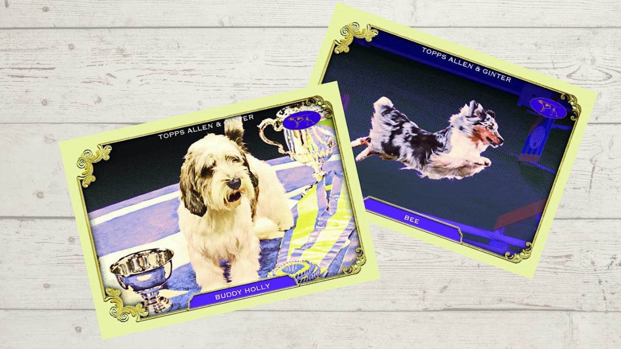 The Westminster Dog Show now has Trading Cards