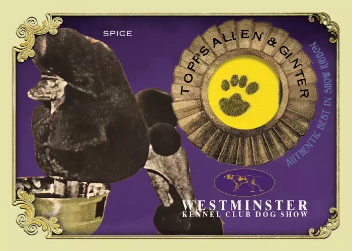 Topps Westminster Dog Show Trading Cards 1