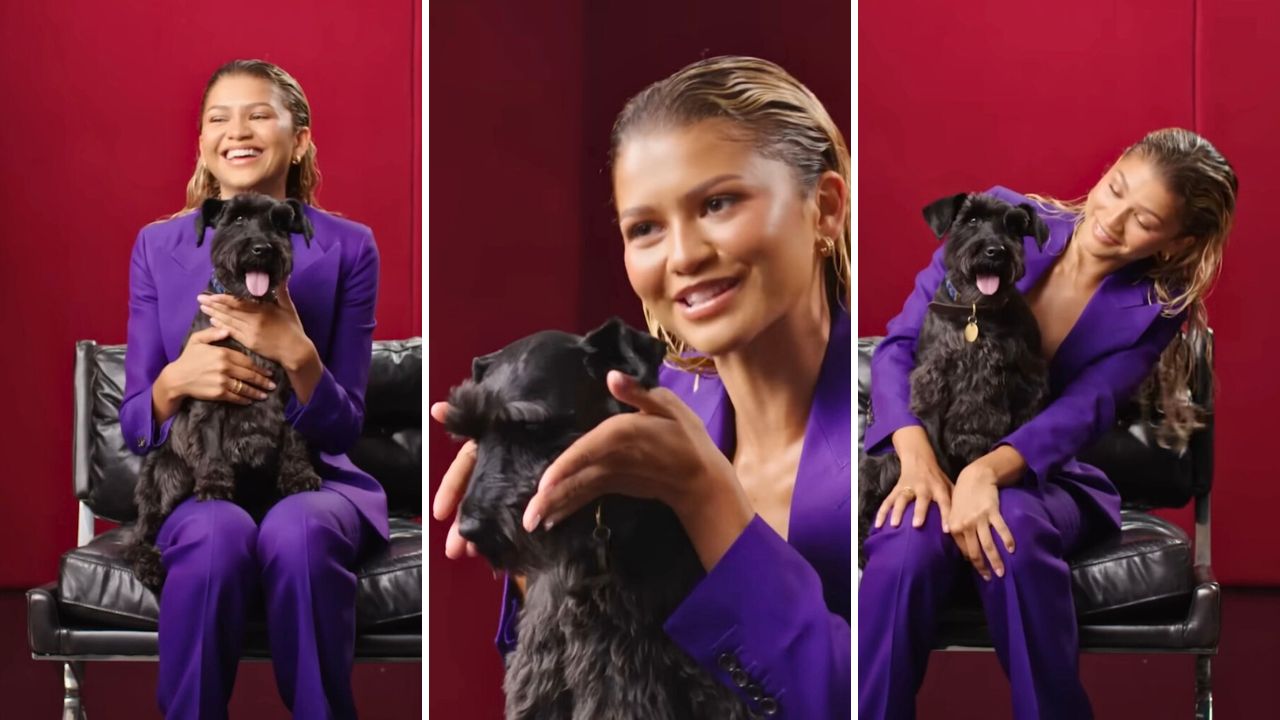 Zendaya Only Talks About Her Dog in New Vanity Fair Interview