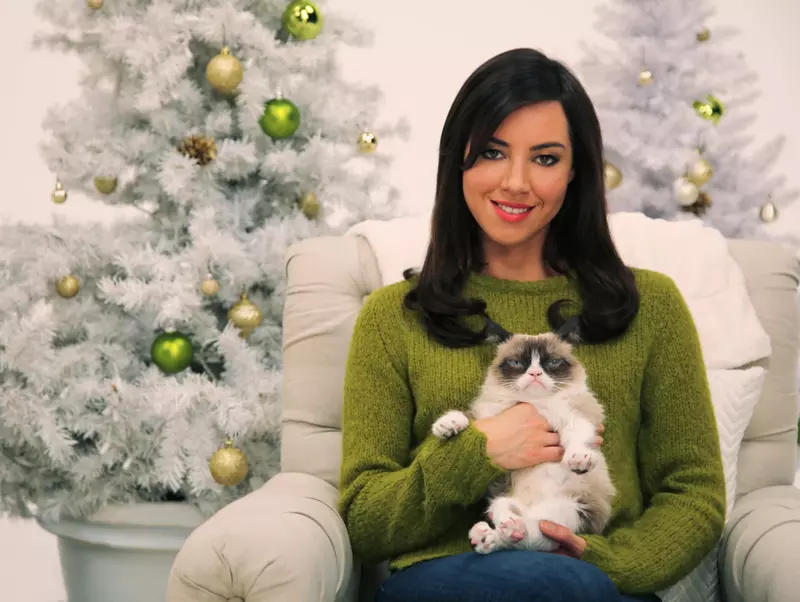 Aubrey Plaza was the voice for Grumpy Cat Christmas movie