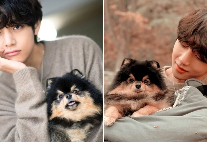 BTS Member V’s Beloved Pomeranian, Yeontan, Has Passed Away