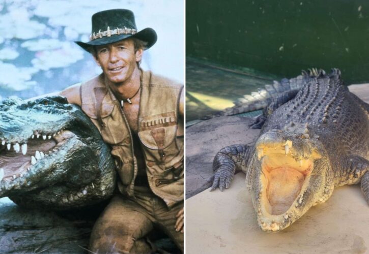 Burt the Crocodile Actor from ‘Crocodile Dundee’ Has Passed Away at 90, ‘End of an Incredible Era'