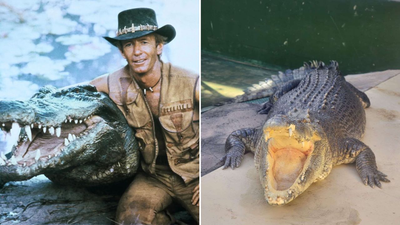 Burt the Crocodile Actor from Crocodile Dundee Has Passed Away at 90