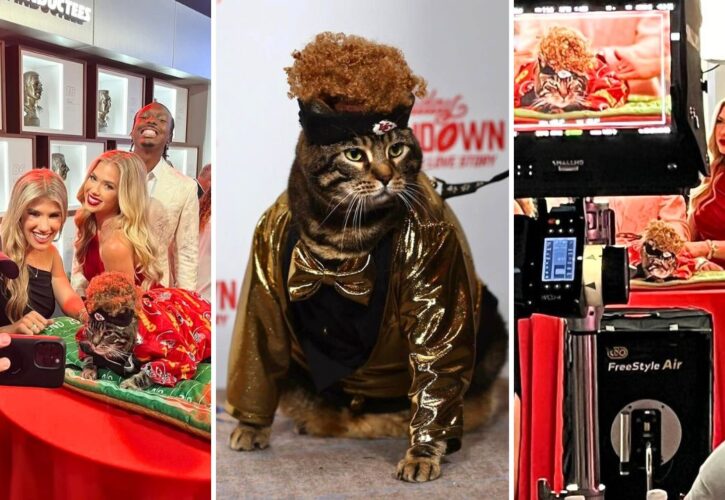 Kitty Influencer ‘Catrick Mahomes’ Stars in Hallmark's ‘Holiday Touchdown: A Chiefs Love Story'