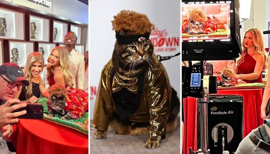 Kitty Influencer ‘Catrick Mahomes’ Stars in Hallmark’s ‘Holiday Touchdown: A Chiefs Love Story’