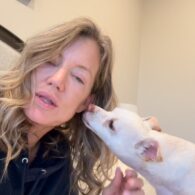 Cynthia Watros' pet Rescue Dog