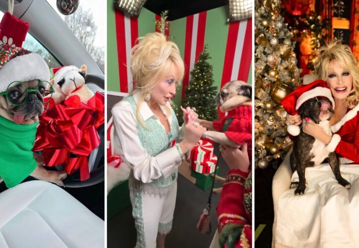 Doug the Pug and Dolly Parton’s Frenchie BTK Have a Christmas Hangout