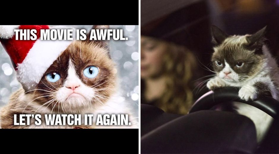 Grumpy Cat Christmas Movie