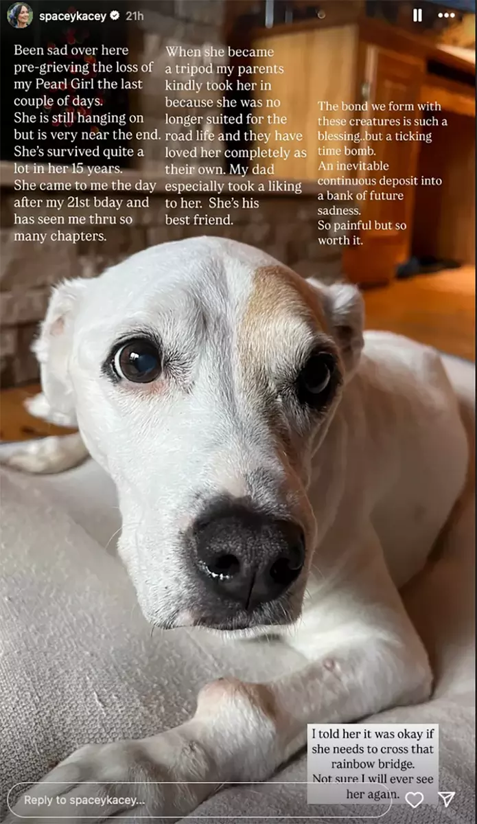 Kacey Musgraves Instagram story senior dog