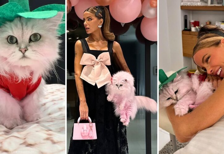 Kate Beckinsale’s Cat Overcame Depression Thanks to Dying His Fur Pink