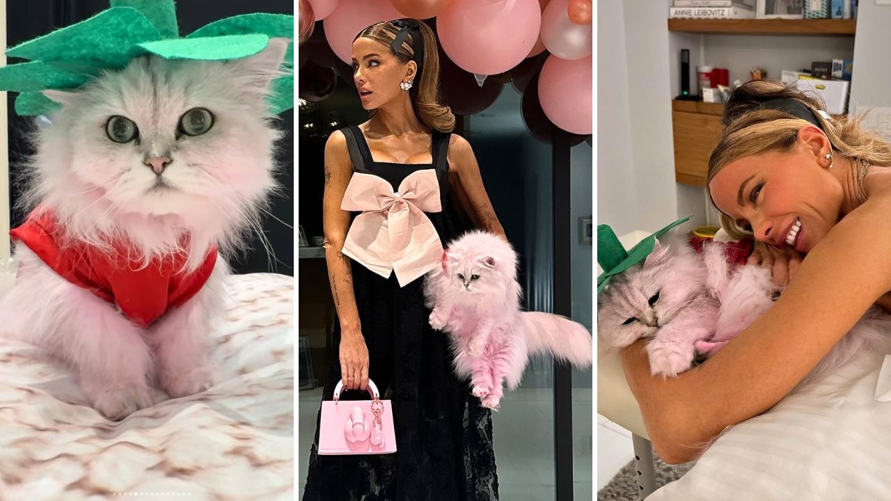 Kate Beckinsales Cat Overcame Depression Thanks to Dying His Fur Pink