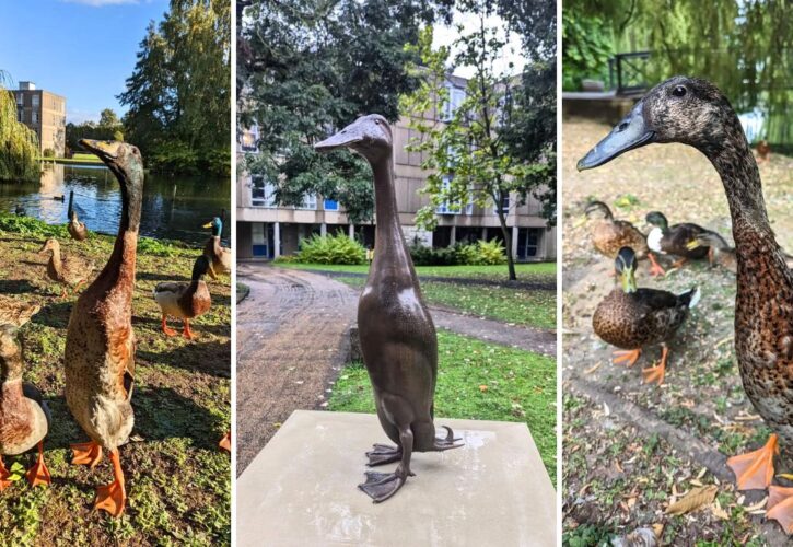 Memorial Statue Unveiled for Long Boi the Really Tall Viral Duck