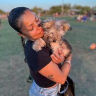 Melody Thornton's pet Golden