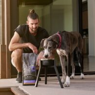 Michael Phelps' pet Onyx