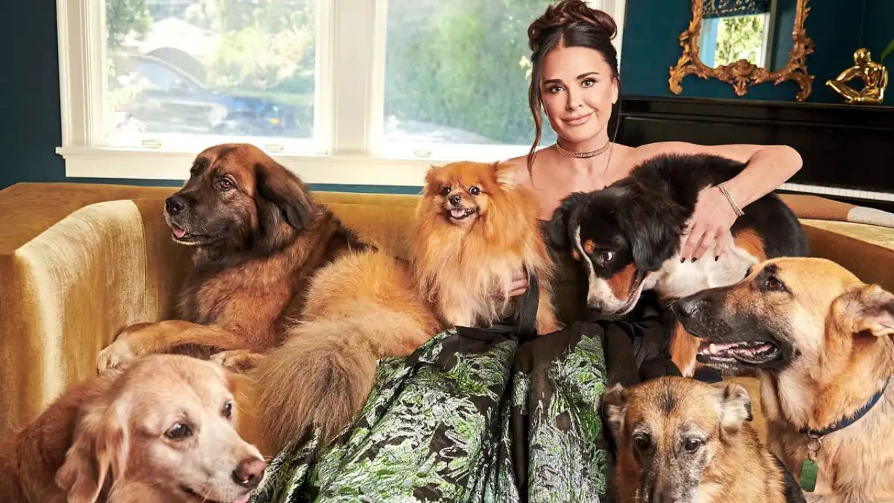 Real Housewives Star Kyle Richards Says Owning 6 Dogs Is Like Having 6 Husbands