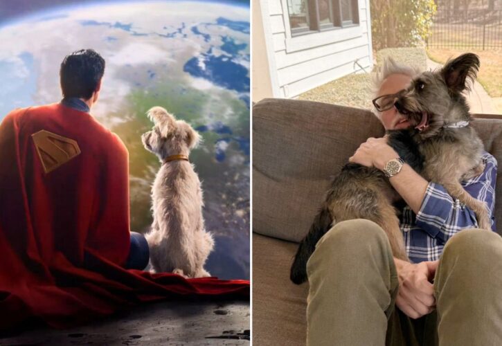 Superman’s Dog Krypto Was Inspired by Director James Gunn’s Rescue Dog Ozu