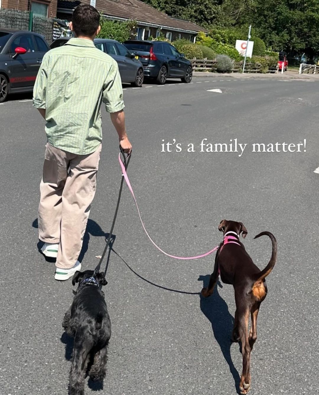 Tom Holland walking his Doberman security dog