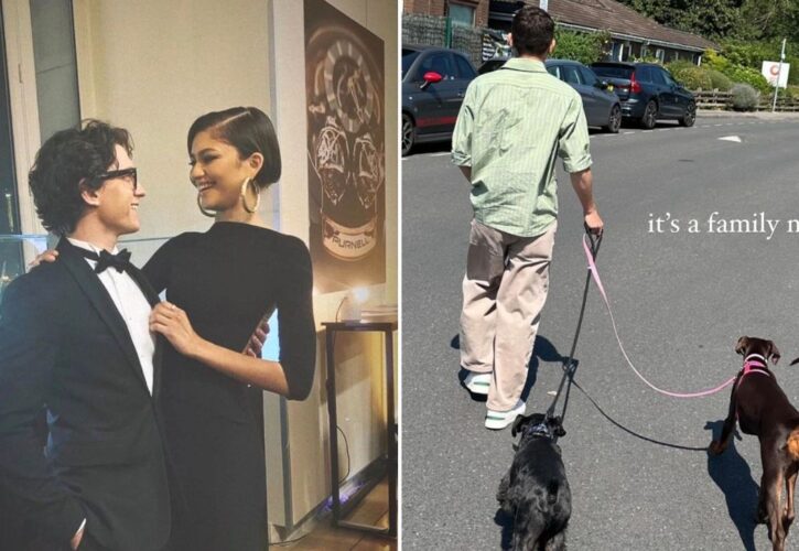 Zendaya and Tom Holland got a doberman security dog due to a stalker's kidnapping threats