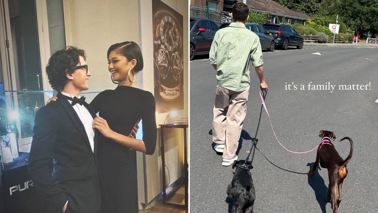 Zendaya and Tom Holland got a doberman security dog as protection from a stalker