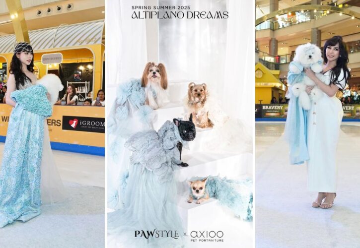 A Look at the First Dog Fashion Show on Ice with Pawstyle and Concept of Paw