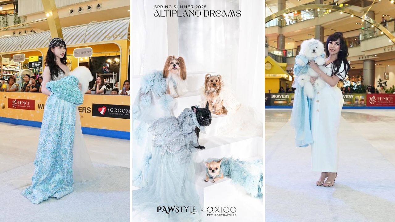 A Look at the First Dog Fashion Show on Ice with Pawstyle and Concept of Paw