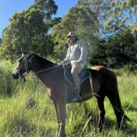 Brenton Thwaites' pet Horses