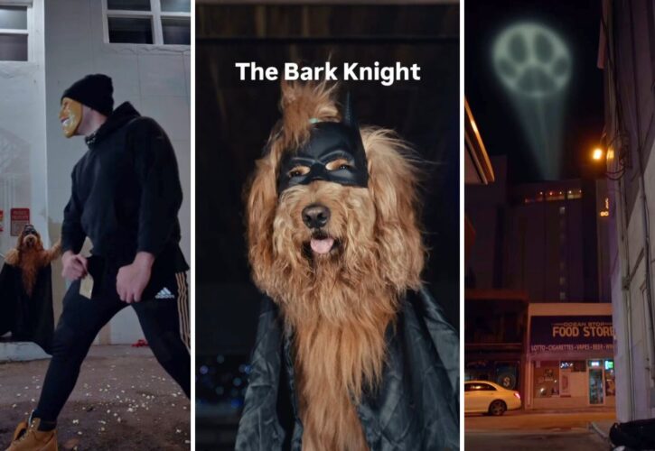 Brodie That Dood Drops Epic Trailer for ‘The Bark Knight: Batdog Begins'