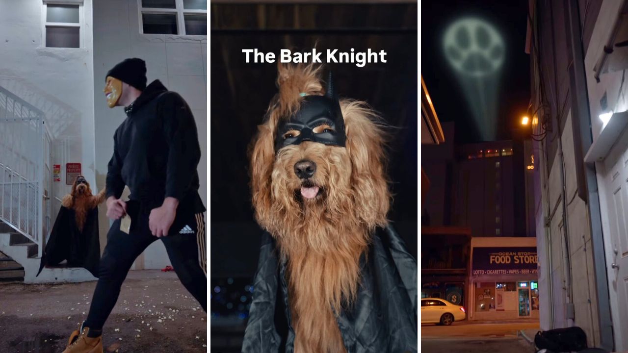 Brodie That Dood Drops Epic Trailer for The Bark Knight Batdog Begins