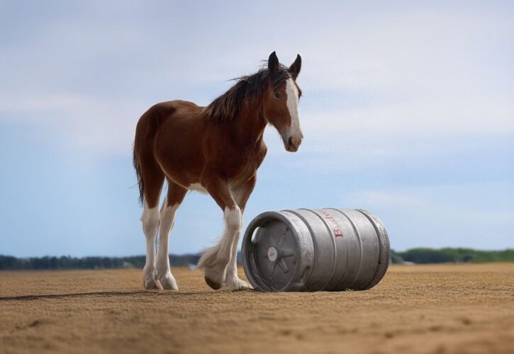 Budweiser’s 2025 Super Bowl Ad Features an Adorable Clydesdale Foal’s Adventure 'First Delivery'