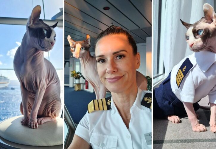 Captain Kate McCue Pays Tribute to Her Celebrity Cruise Ship Kitty, Bug Naked