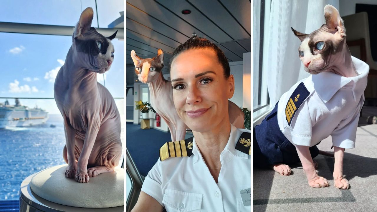 Captain Kate McCue Pays Tribute to Her Celebrity Cruise Ship Kitty Bug Naked