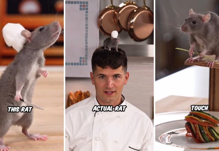 Celebrity Chef Nick DiGiovanni Trained a Rat to Pull Off an IRL Ratatouille