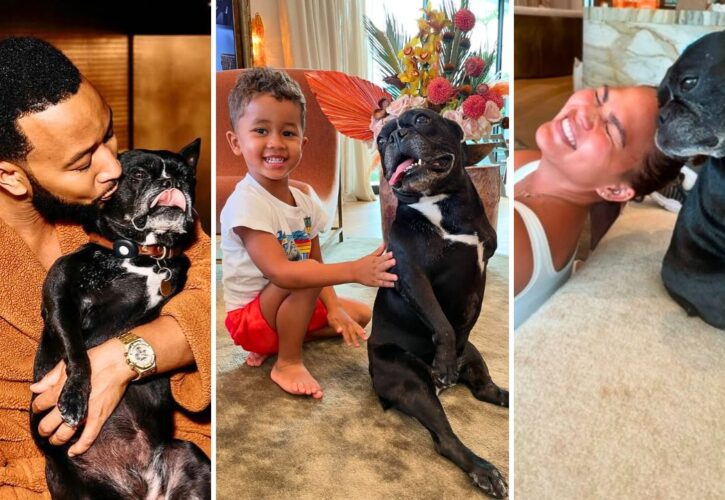 Chrissy Teigen and John Legend Mourn the Loss of Their Frenchie Penny ‘Our Beautiful Little Tripod Queen'