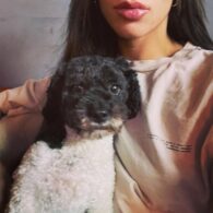 Hannah John-Kamen's pet Mowgli