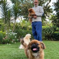 Mahmoud El-Bezzawy's pet Dogs