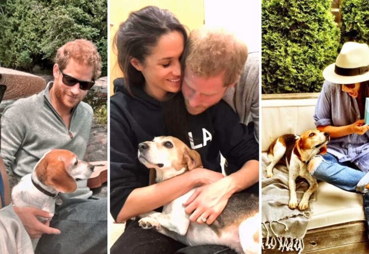 Meghan Markle Posts a Heartbreaking Video Memorial of Her Rescue Beagle Guy