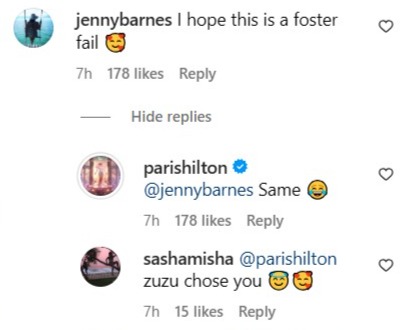 Paris Hilton Instagram comment foster fail puppy