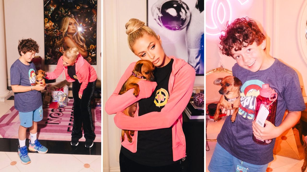 Paris Hilton Reunites Her Wildfire Foster Pup with Original Family