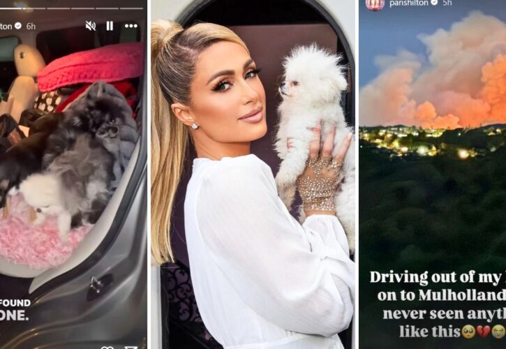 Paris Hilton and Her Dogs Flee Los Angeles Wildfires, Posts Videos of the Experience