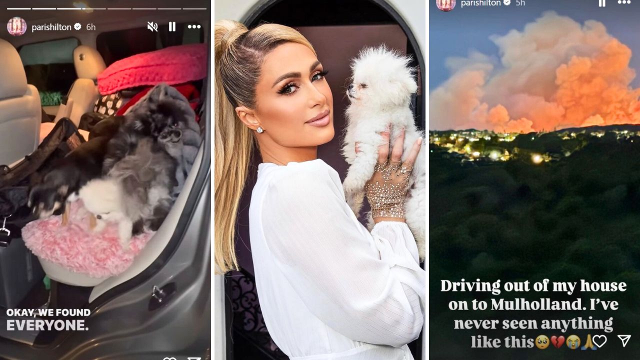 Paris Hilton and Her Dogs Flee Los Angeles Wildfires and Posts Videos of the Experience