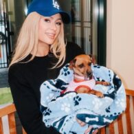 Paris Hilton's pet Zuzu