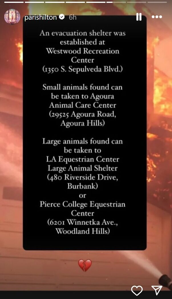 Paris Hilton how to help pets and animals Los Angeles wildfires