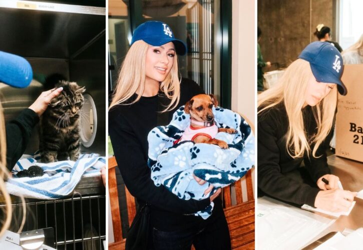 Paris Hilton Fostering L.A. Wildfire Puppy, Volunteering and Raising Funds for Animals and People