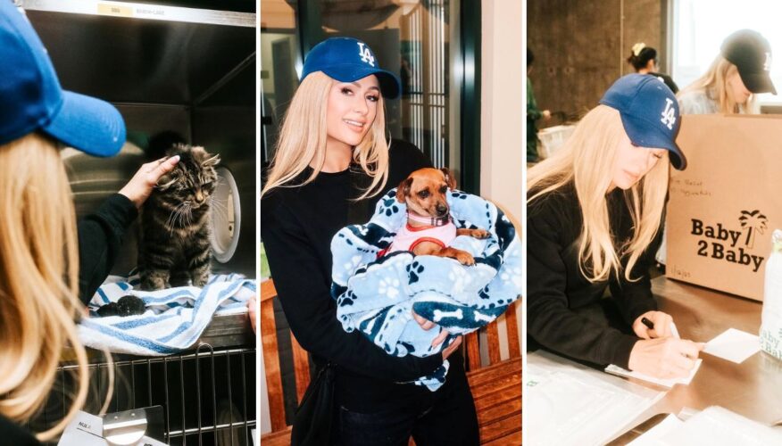 Paris Hilton Fostering L.A. Wildfire Puppy, Volunteering and Raising Funds for Animals and People